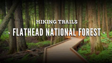 10 Hiking Trails in Flathead National Forest - Escape to Adventure - Fcvb