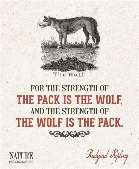 Pin by Skyler Rowan on Wolves | Wolf pack quotes, Wolf quotes, Lone ...