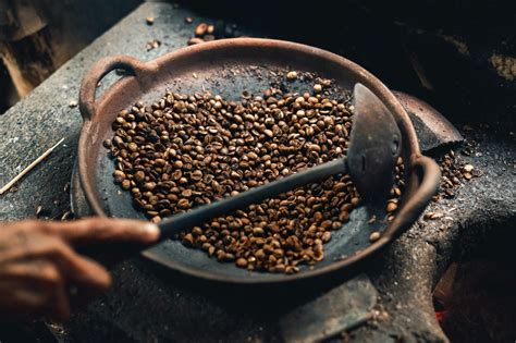 Kopi Luwak: 6 Fun Facts About The Most Expensive Coffee Bean | The Fox ...