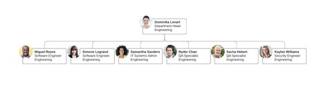 Types of Organizational Structures | Lucidchart Blog