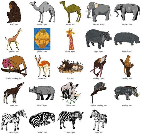 name for african animals - Yahoo Image Search Results | African animals ...