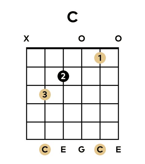 Finger Placement Guitar Chords