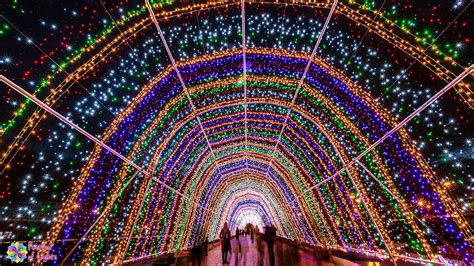 festival of lights - The complete guides to all fesrivals