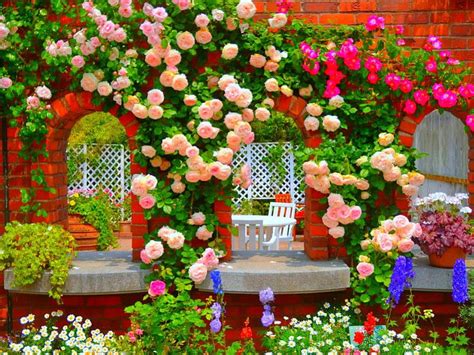 Flower Garden Background Hd Wallpaper | Best Flower Site