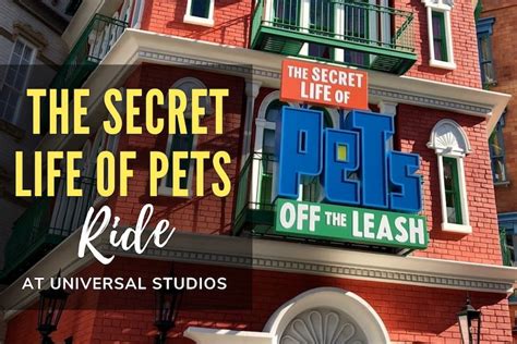 Secret Life of Pets Ride at Universal Studios