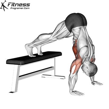 How To: Bench Pike Push-up - Benefits, Muscles Worked