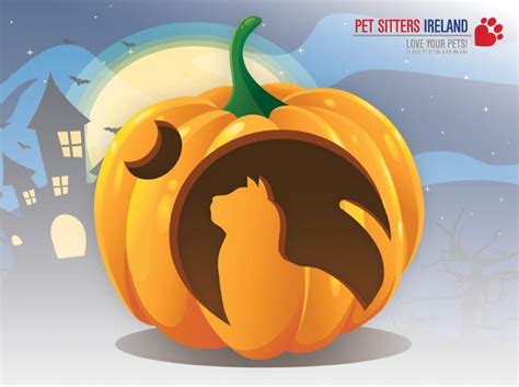 cat template for carving a pumpkin celebrate decorate - cat face ...