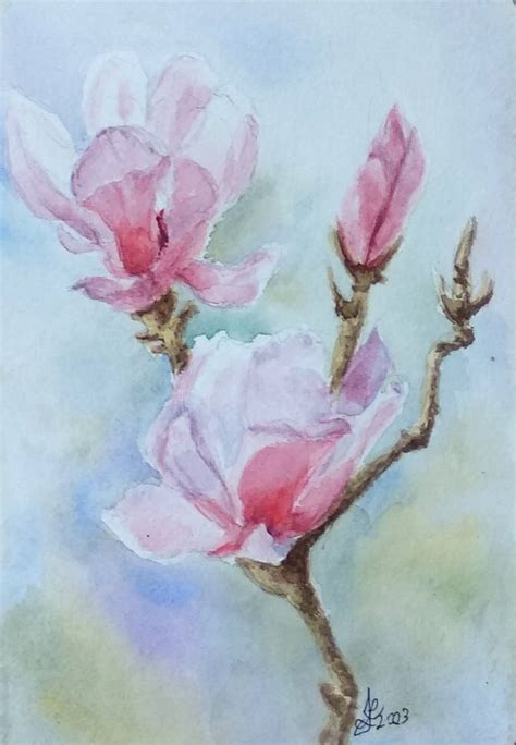 Sweet Magnolias by Lotus105 on DeviantArt