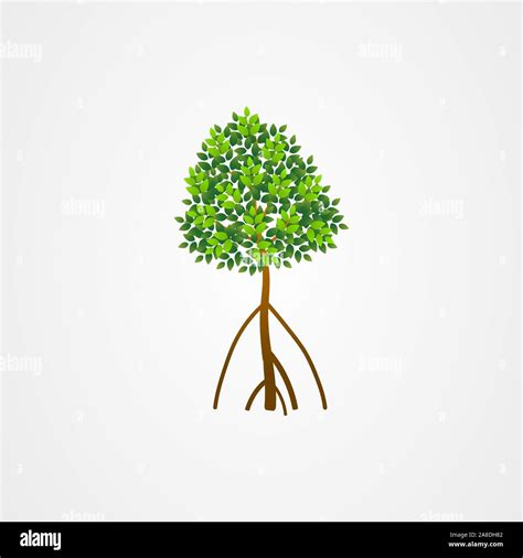 Tree and roots vector, mangrove tree illustration, mangrove plant Stock ...