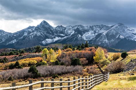 Fall Colors At Dallas Divide Photograph by Barbara Hayton