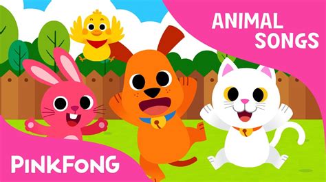 Animal Action Song Pinkfong - Tarsha Barrios