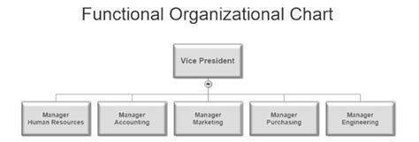 Functional Organizational Structure Chart - SweetProcess