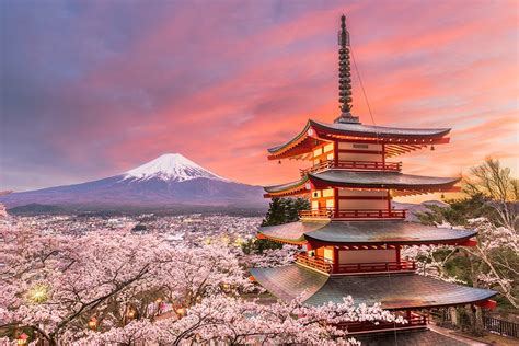 Cherry Blossom Festival Tokyo 2024 - Sara Wilone