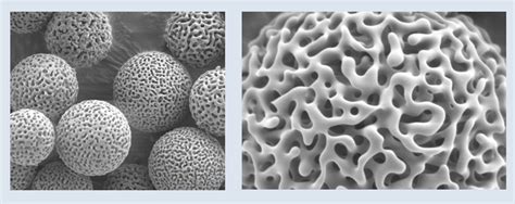 Kromasil Chiral Column - Chromatographyshop.com