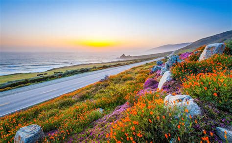 Download Horizon Coastline Flower Sea Ocean Coast Man Made Road HD ...