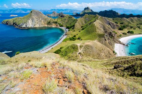 Komodo National Park, the last vestige of a Jurassic World of Wonders