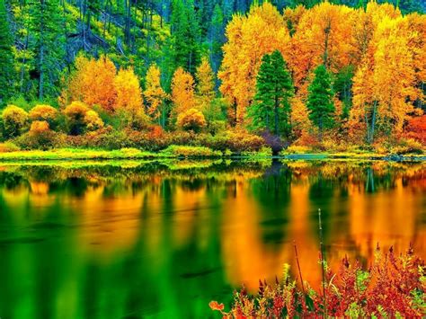 Fall Colors Wallpaper - WallpaperSafari