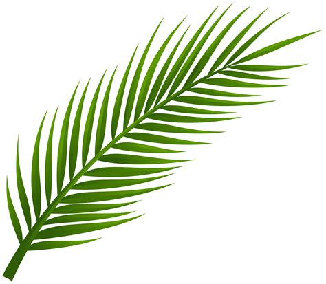 Palm frond art, Palm tree leaves, Palm tree tattoo