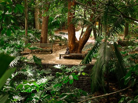 Brisbane Botanic Gardens, Mt Coot-tha - Brisbane's Living Heritage Network