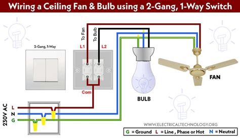 How to Wire Double Switch? 2-Gang, 1-Way Switch - IEC & NEC | Ceiling ...