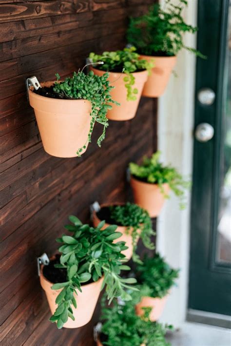 DIY Outdoor Plant Wall - Love & Renovations