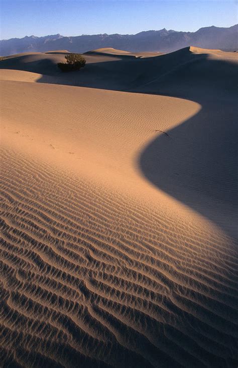 Stovepipe Wells, Sand Dunes, Death Photograph by John Elk Iii - Fine ...