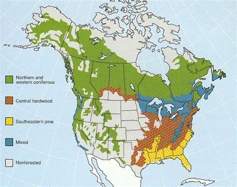 Forester's Blog: So, How much forest is there in the U.S. and Canada ...