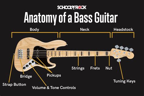 Guide to Buying Your First Bass Guitar | School of Rock