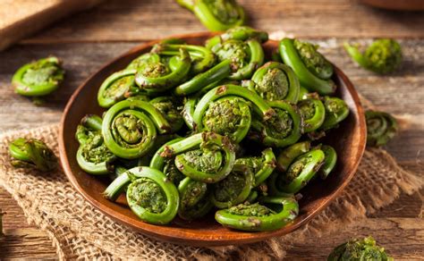 How to Cook Fiddlehead Ferns - Edible Communities