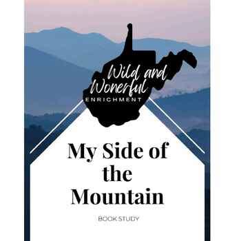 My Side of the Mountain Book Study by Jodie's Resources | TPT