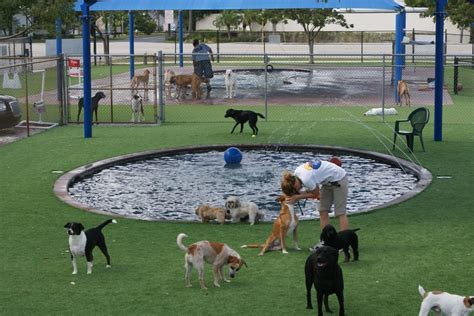 How to Create an Amazing Outdoor Play Area for Your Dog - Buy, Install ...