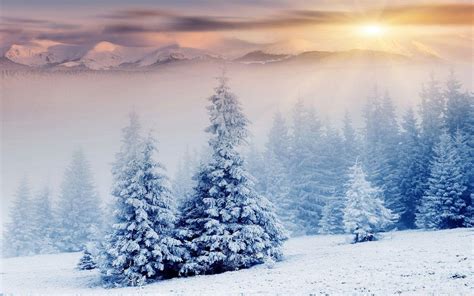 Winter Wonderland 4K Wallpapers - Top Free Winter Wonderland 4K ...