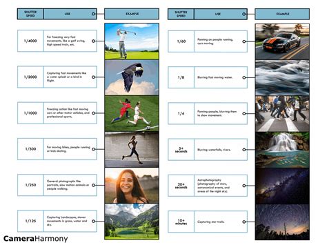 Understanding Shutter Speed: A Beginner’s Guide – Camera Harmony