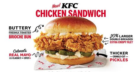 KFC reignites chicken sandwich war new premium sandwich test | Nation's ...