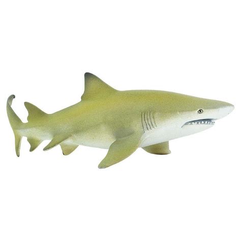 Lemon Shark - Safari Ltd® | Browse the SafariPedia