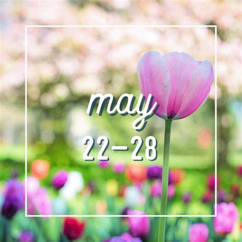 Rochester MN Guide to May Events