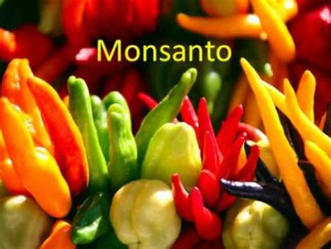 Monsanto's GMO Roundup Ready soybean patent has expired. What's next?