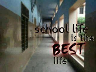 School Life: The Best Life