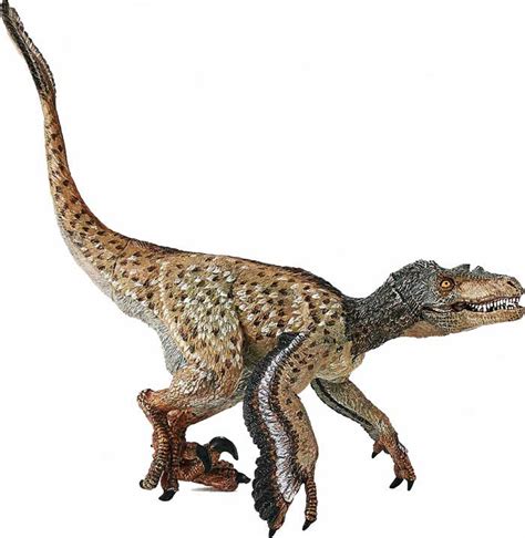 Velociraptor | Appearance + Habitat + Lifestyle | - Science4Fun