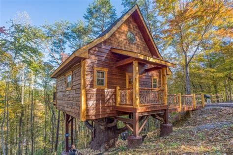 3 Luxurious Treehouse Rentals in the Smoky Mountains