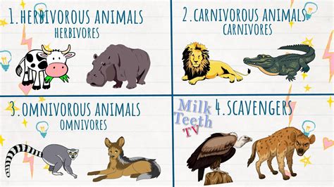 Types of Animals - Herbivores Carnivores Omnivores and Scavengers ...