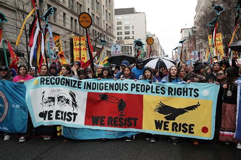 7 Native American Organizations To Donate To For The Indigenous Peoples ...