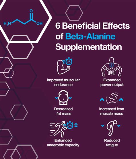 Beta-Alanine and Carnosine: Which Supplement Should I Take? – The Amino ...