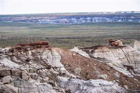 The Best 24-Hour Itinerary for Petrified Forest - A Couple Days Travel