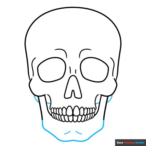 How to Draw a Realistic Skull - Really Easy Drawing Tutorial