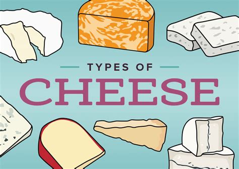 Types Of Cheese Chart