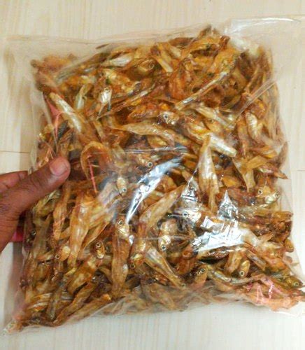 Nethili Dry Fish, 1KG at Rs 175/kg in Tirunelveli | ID: 22647112673