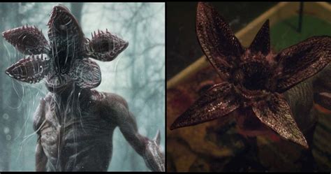 Stranger Things: 10 Unanswered Questions We Still Have About The Demogorgon