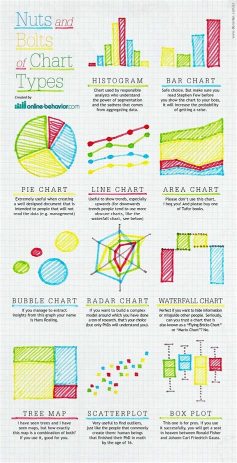 Types of Graphs and Charts - Bella Marshall