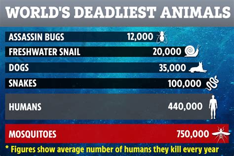 World's deadliest animals ranked by number of humans killed – and ...